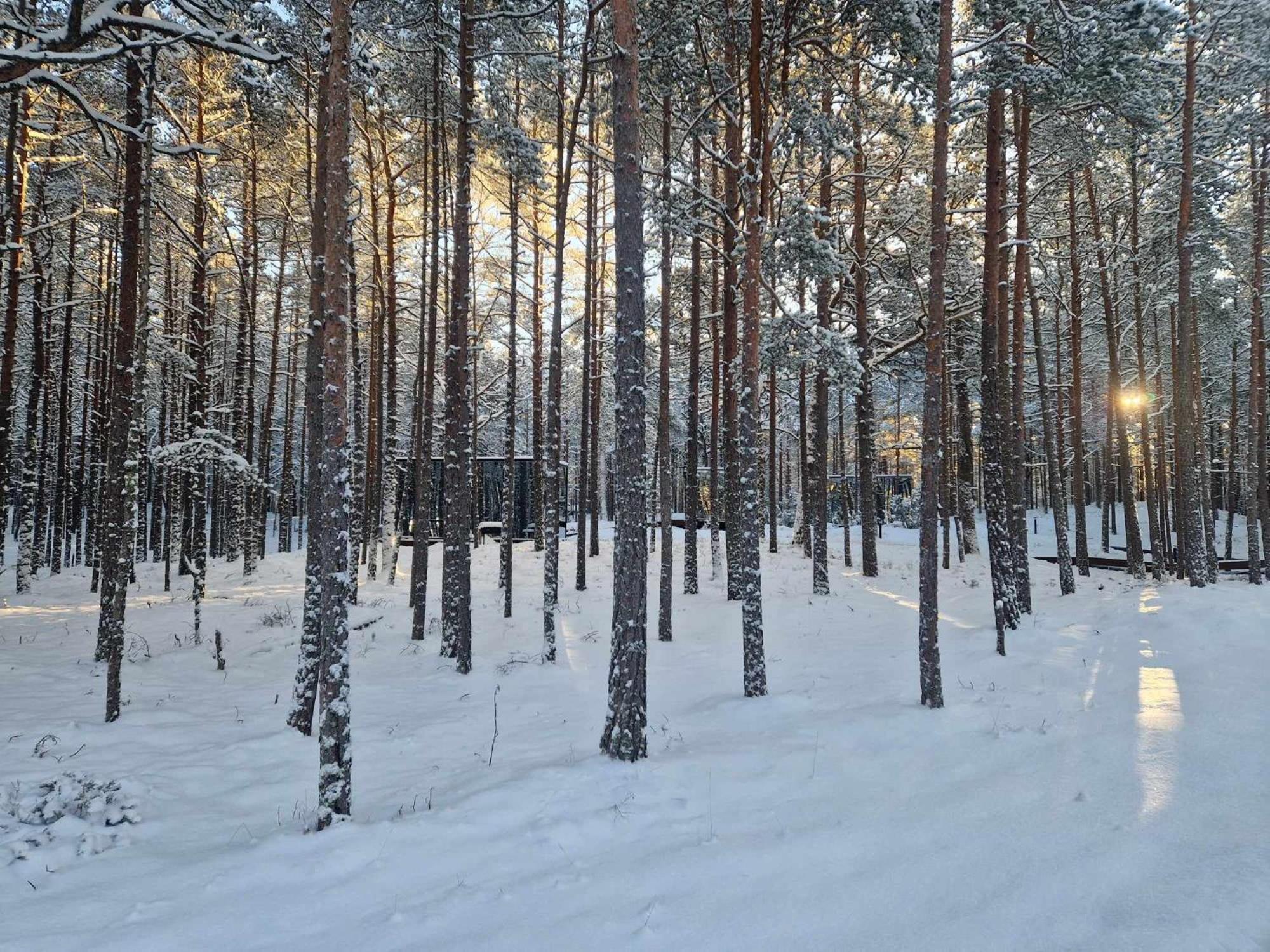 Oeoed Hoetels Lohusalu Leida & Enno Laulasmaa Exterior foto